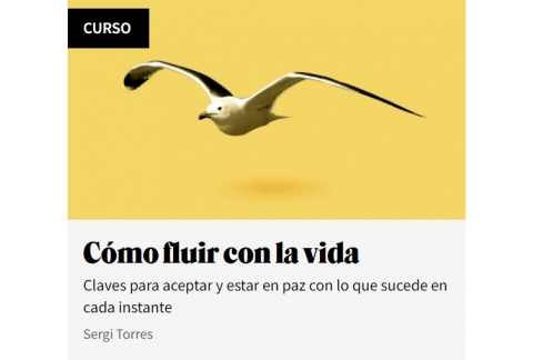 Curso Cómo fluir con la vida