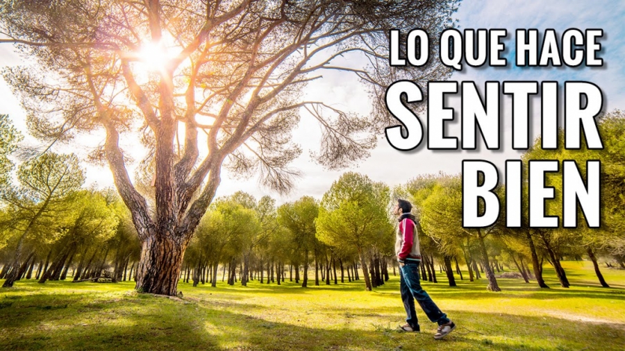 Imagen portada LO QUE HACE SENTIR BIEN