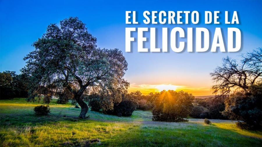 Imagen portada EL SECRETO DE LA FELICIDAD