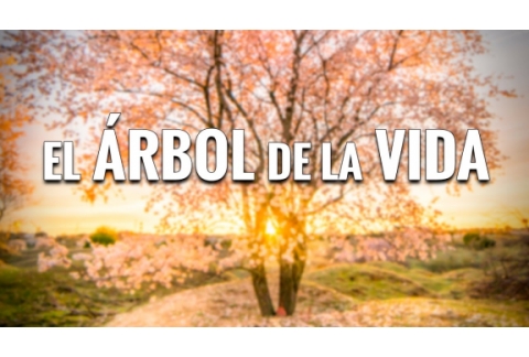 El ÁRBOL de la VIDA