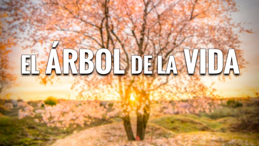 Imagen portada El ÁRBOL de la VIDA