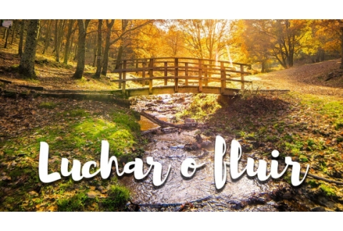 LUCHAR por tus SUEÑOS o FLUIR? - Qué opinas Rubén? Ep. 2