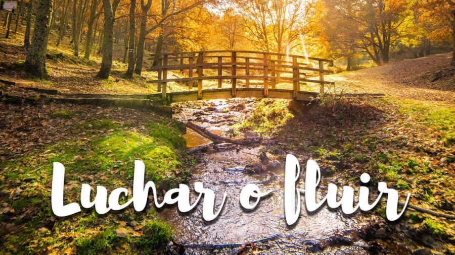 Imagen portada LUCHAR por tus SUEÑOS o FLUIR? - Qué opinas Rubén? Ep. 2