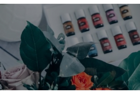 THE BLUE DROP ACADEMY: INTRODUCCIÓN A LA AROMATERAPIA CON EL KIT DE INICIO