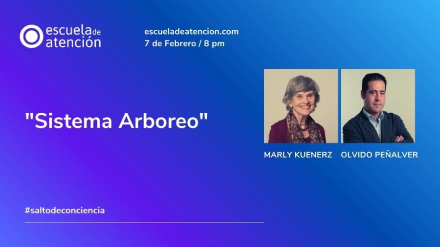 Imagen portada "Salto de conciencia: El viaje hacia tí, el Sistema Arboreo"