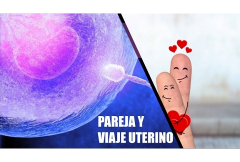 Que pareja atraes segun tu viaje uterino