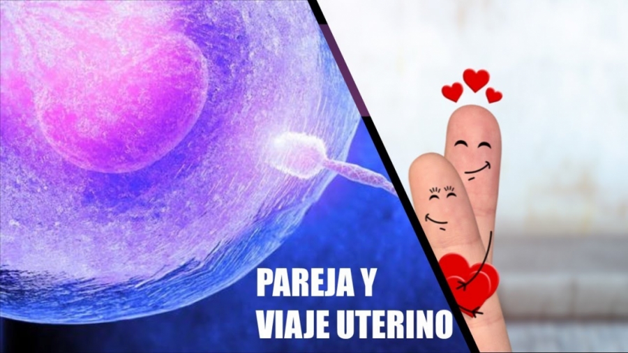 Imagen portada Que pareja atraes segun tu viaje uterino