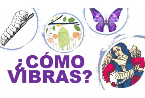 Tu estado emocional es oruga crisalida o mariposa