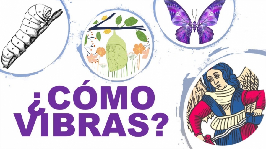 Imagen portada Tu estado emocional es oruga crisalida o mariposa