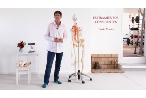 ESTIRAMIENTOS CONSCIENTES  - CUÁDRICEPS - ENRIC MARÉS