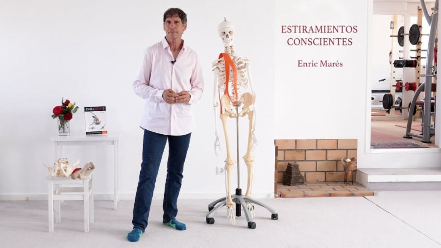 Imagen portada ESTIRAMIENTOS CONSCIENTES  - CUÁDRICEPS - ENRIC MARÉS