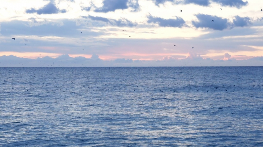 Imagen portada ¿QUIEN SOY YO?