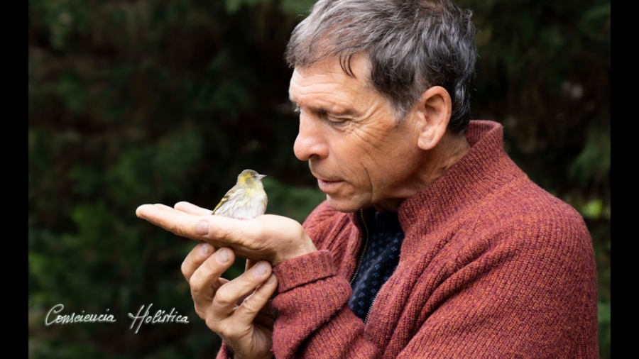 Imagen portada INTER-SER