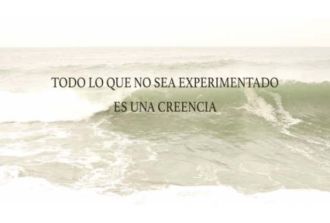 LA OLA NO SUFRE, SABE QUE ES AGUA - ENRIC MARÉS