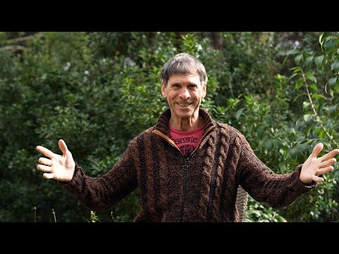 Imagen portada LA IMPERMANENCIA