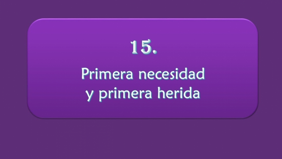 Imagen portada Primera necesidad y primera herida