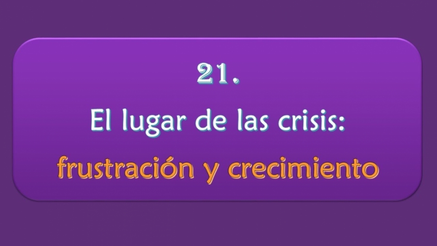 Imagen portada El lugar de las crisis: frustración y crecimiento