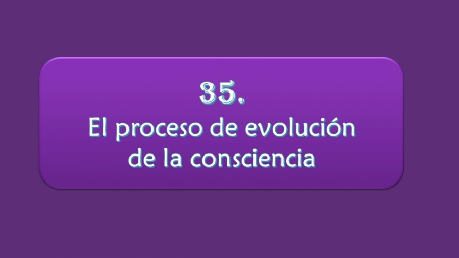 Imagen portada El proceso de evolución de la consciencia