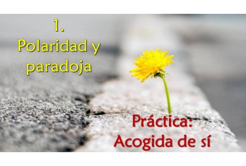 Polaridad y paradoja - Práctica: Acogida de sí