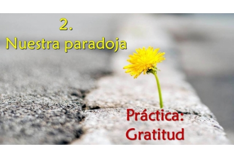 Nuestra paradoja - Práctica: Gratitud