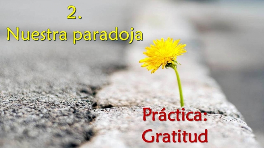 Imagen portada Nuestra paradoja - Práctica: Gratitud