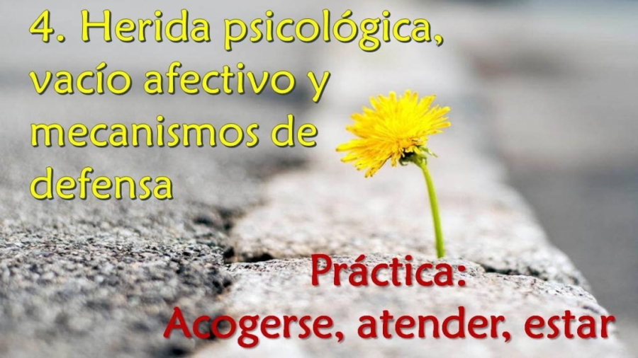 Imagen portada Herida psicológica, vacío afectivo y mecanismos de defensa - Práctica: Acogerse, atender, estar