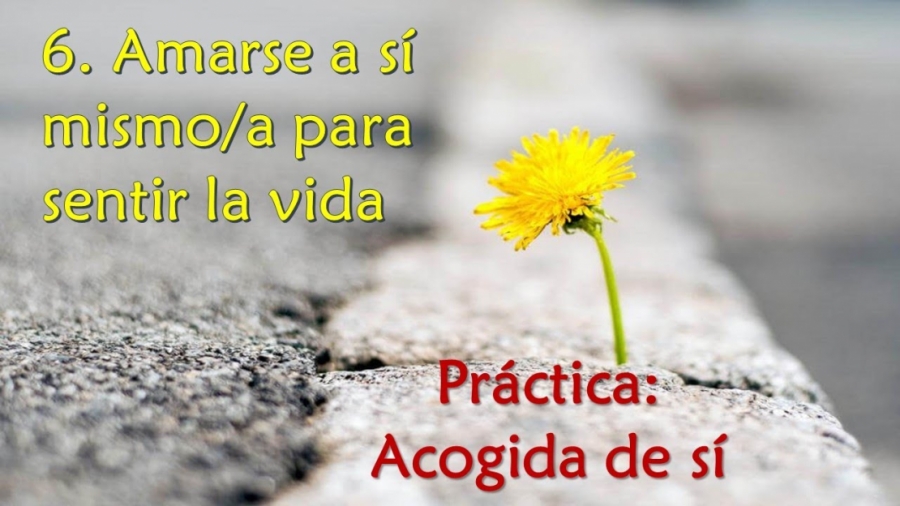 Imagen portada Amarse a sí mismo/a para sentir la vida - Práctica: Acogida de sí