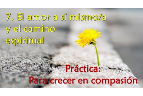 El amor a sí mismo y el camino espiritual - Práctica: para crecer en compasión