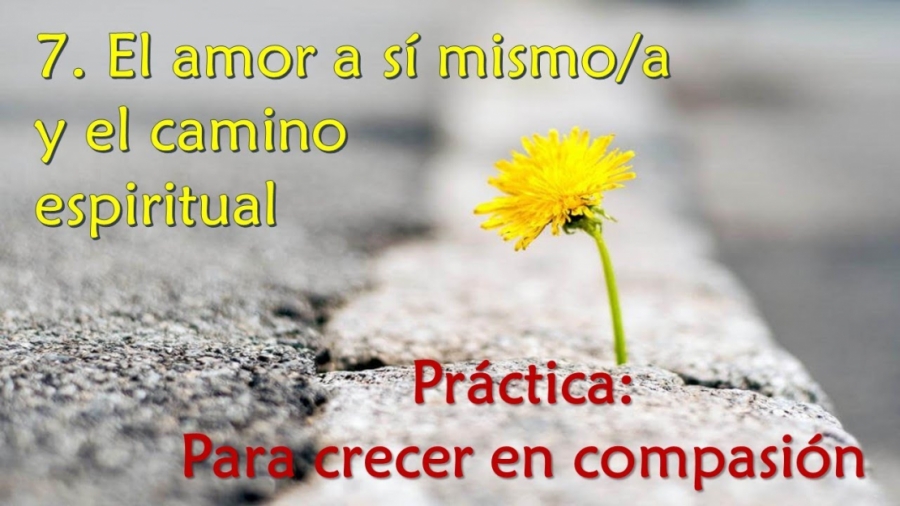 Imagen portada El amor a sí mismo y el camino espiritual - Práctica: para crecer en compasión