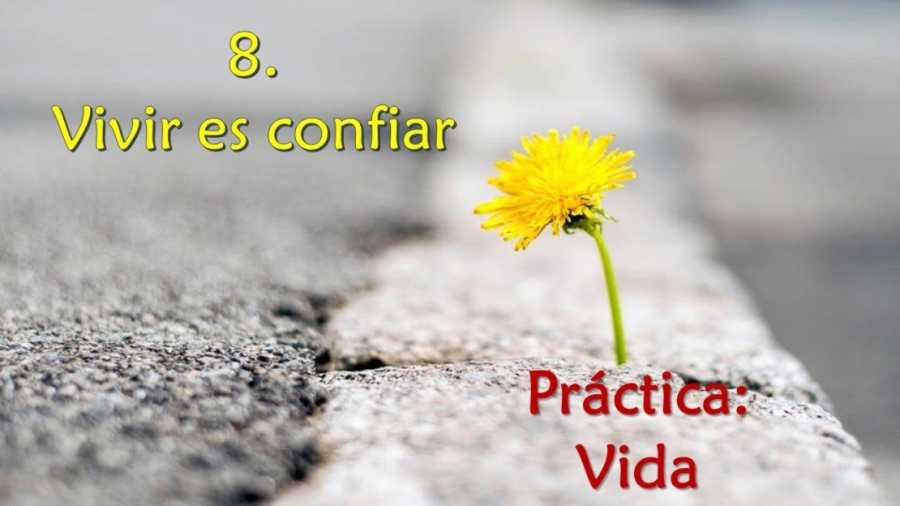Imagen portada Vivir es confiar - Práctica: Gratitud