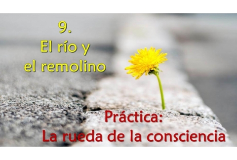El río y el remolino - Práctica: la rueda de la consciencia