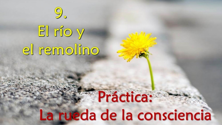 Imagen portada El río y el remolino - Práctica: la rueda de la consciencia