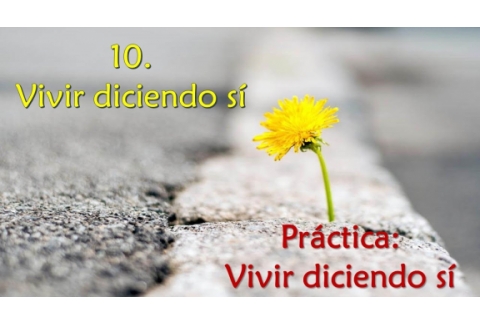 Vivir diciendo sí - Práctica: vivir diciendo sí