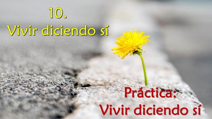 Imagen portada Vivir diciendo sí - Práctica: vivir diciendo sí