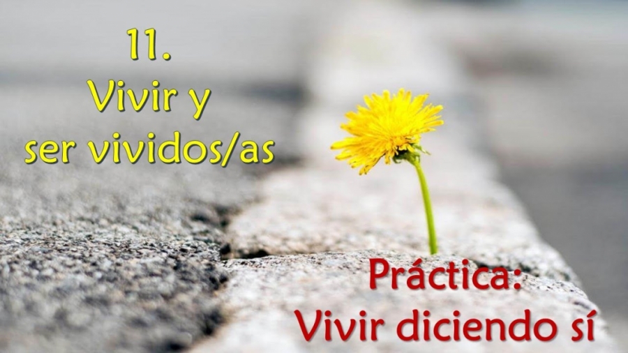 Imagen portada Vivir y ser vividos/as - Práctica: Vivir diciendo sí