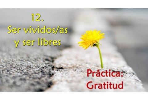 Ser vividos/as y ser libres - Práctica: Gratitud