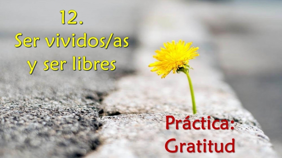 Imagen portada Ser vividos/as y ser libres - Práctica: Gratitud