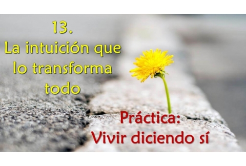 La intuición que lo transforma todo - Práctica: vivir diciendo sí