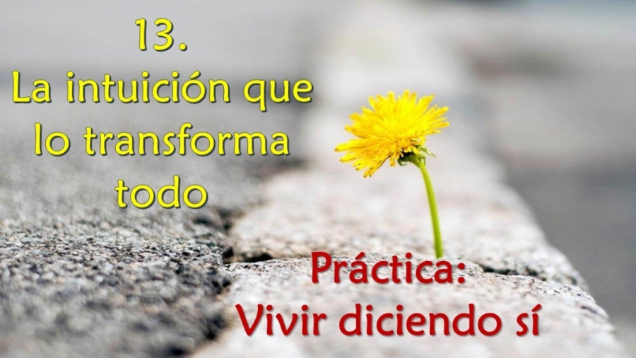 Imagen portada La intuición que lo transforma todo - Práctica: vivir diciendo sí