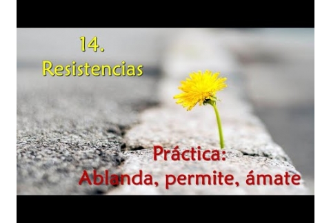 Resistencias - Práctica: Ablanda, permite, ámate