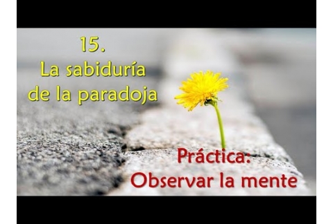 La sabiduría de la paradoja - Práctica: Observar la mente