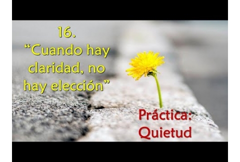 "Cuando hay claridad, no hay elección" - Práctica: Quietud