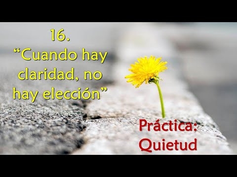 Imagen portada "Cuando hay claridad, no hay elección" - Práctica: Quietud