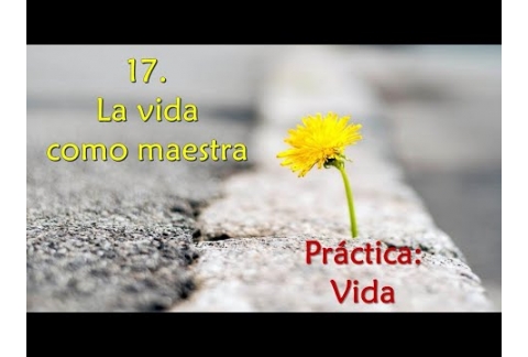 La vida como maestra - Práctica: Vida