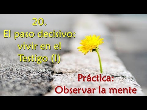 Imagen portada El paso decisivo: vivir en el Testigo (I) - Práctica: observar la mente