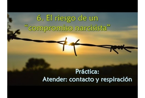 El riesgo de un "compromiso narcisista" - Práctica: Atender: contacto y respiración