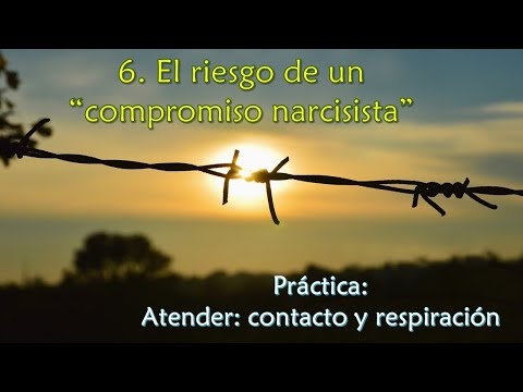 Imagen portada El riesgo de un "compromiso narcisista" - Práctica: Atender: contacto y respiración