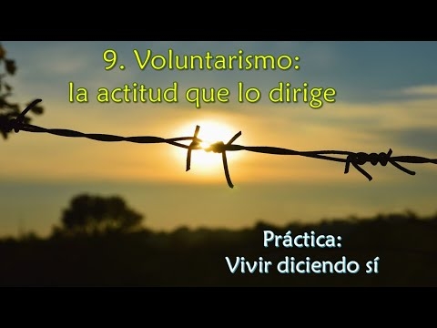 Imagen portada Voluntarismo: la actitud que lo dirige - Práctica: vivir diciendo sí