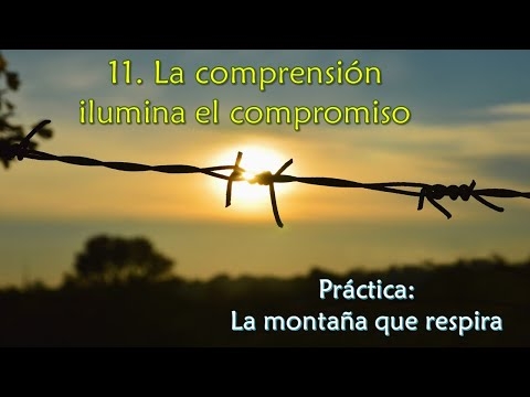 Imagen portada La comprensión ilumina el compromiso - Práctica: La montaña que respira