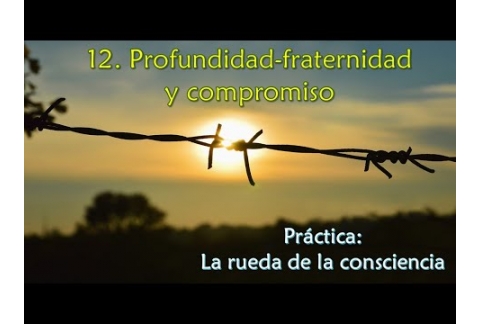 Profundidad-fraternidad y compromiso - Práctica: La rueda de la consciencia